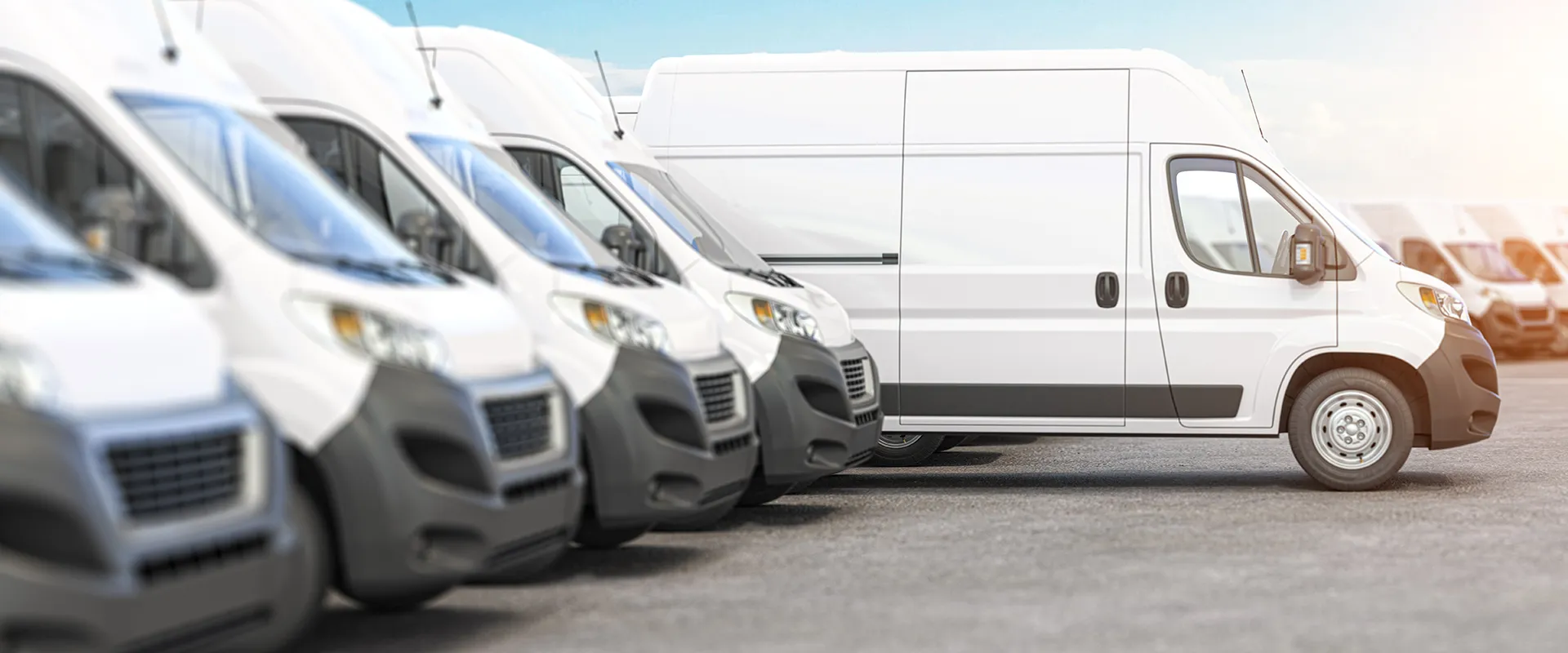 Fleet near Castroville, TX